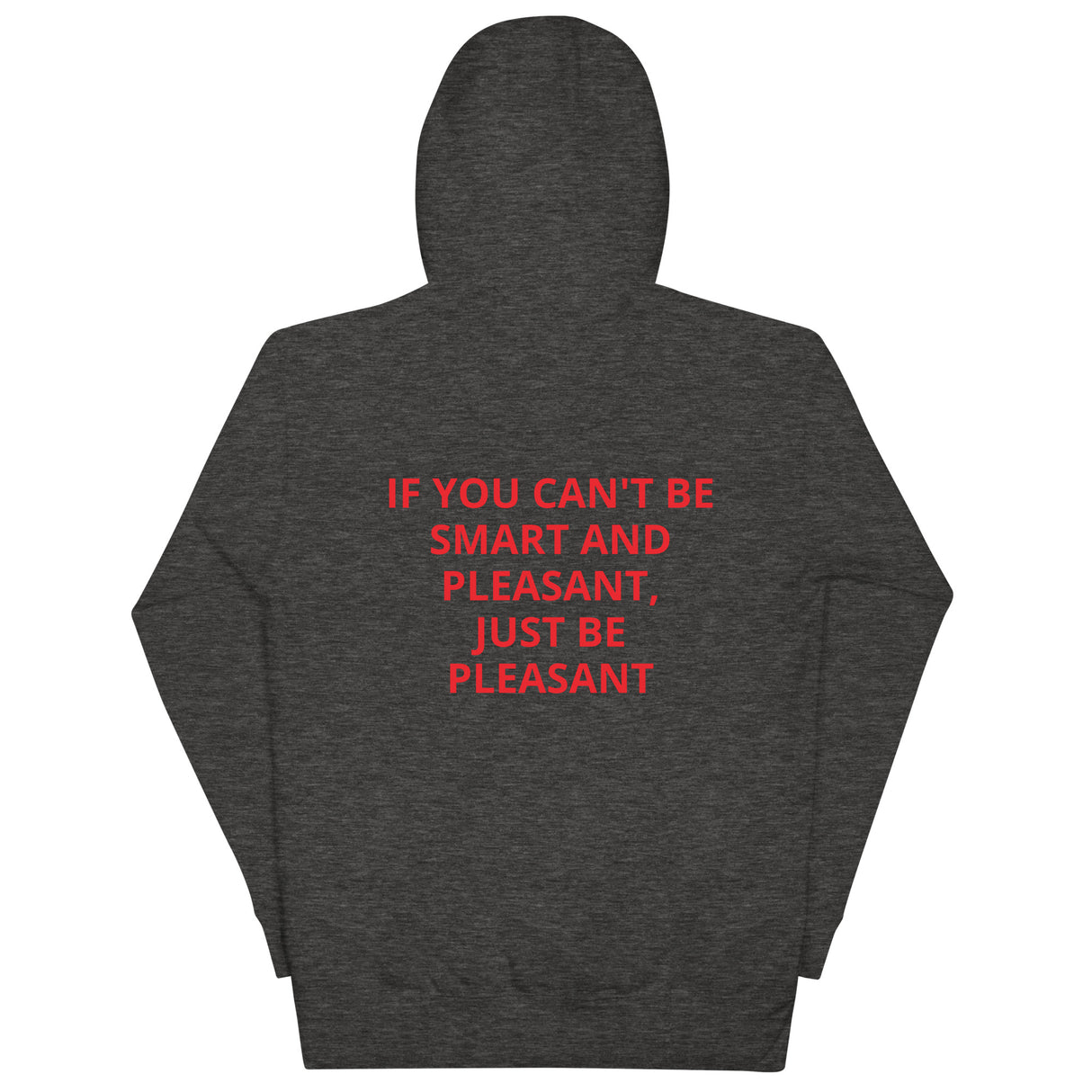 SMART AND PLEASANT HOODIE