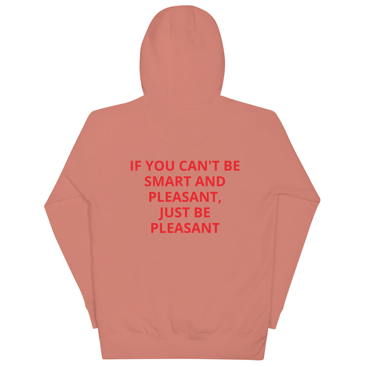 SMART AND PLEASANT HOODIE
