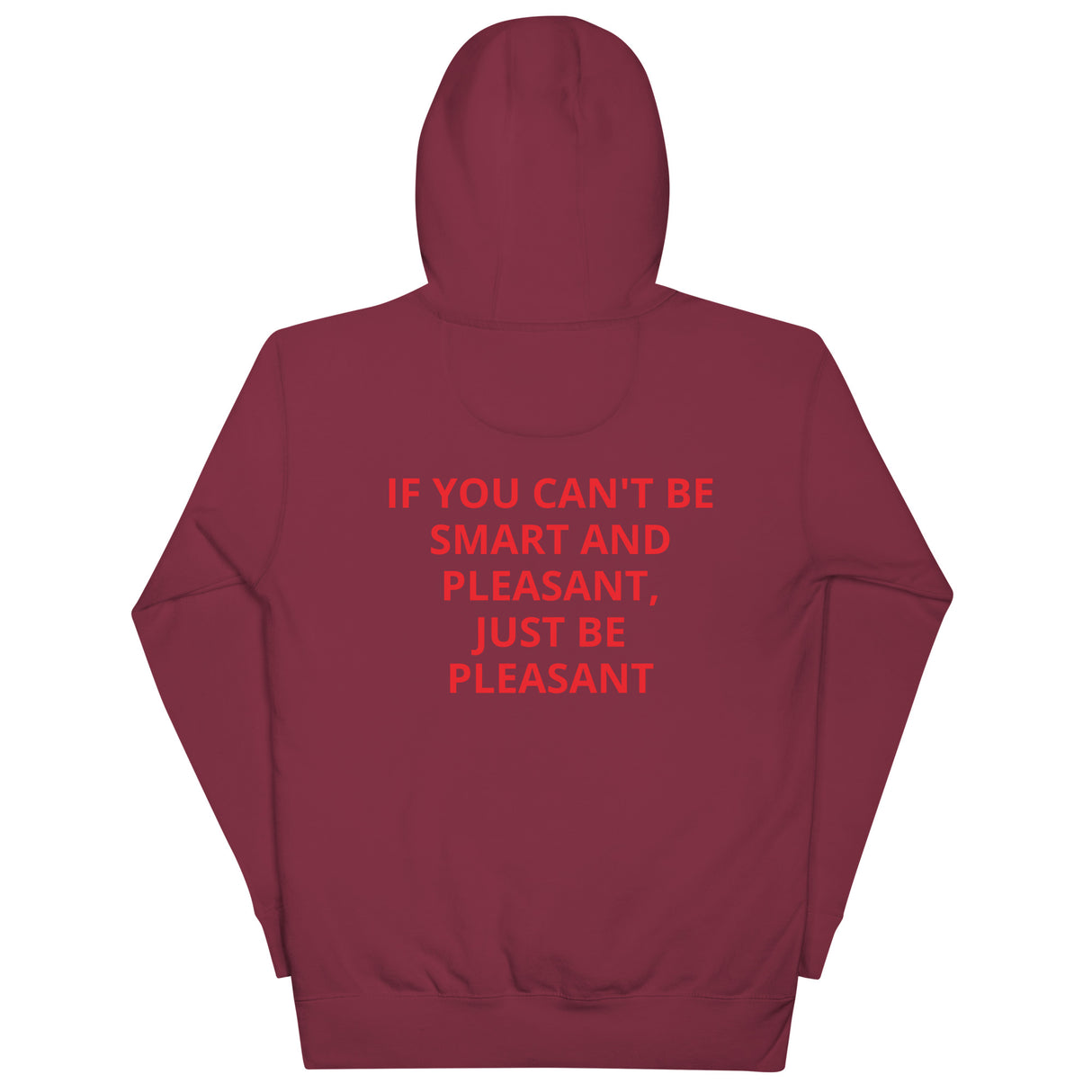SMART AND PLEASANT HOODIE