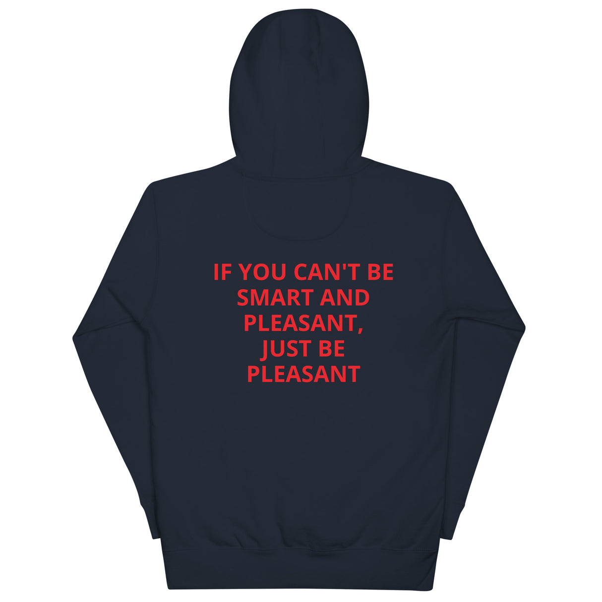 SMART AND PLEASANT HOODIE
