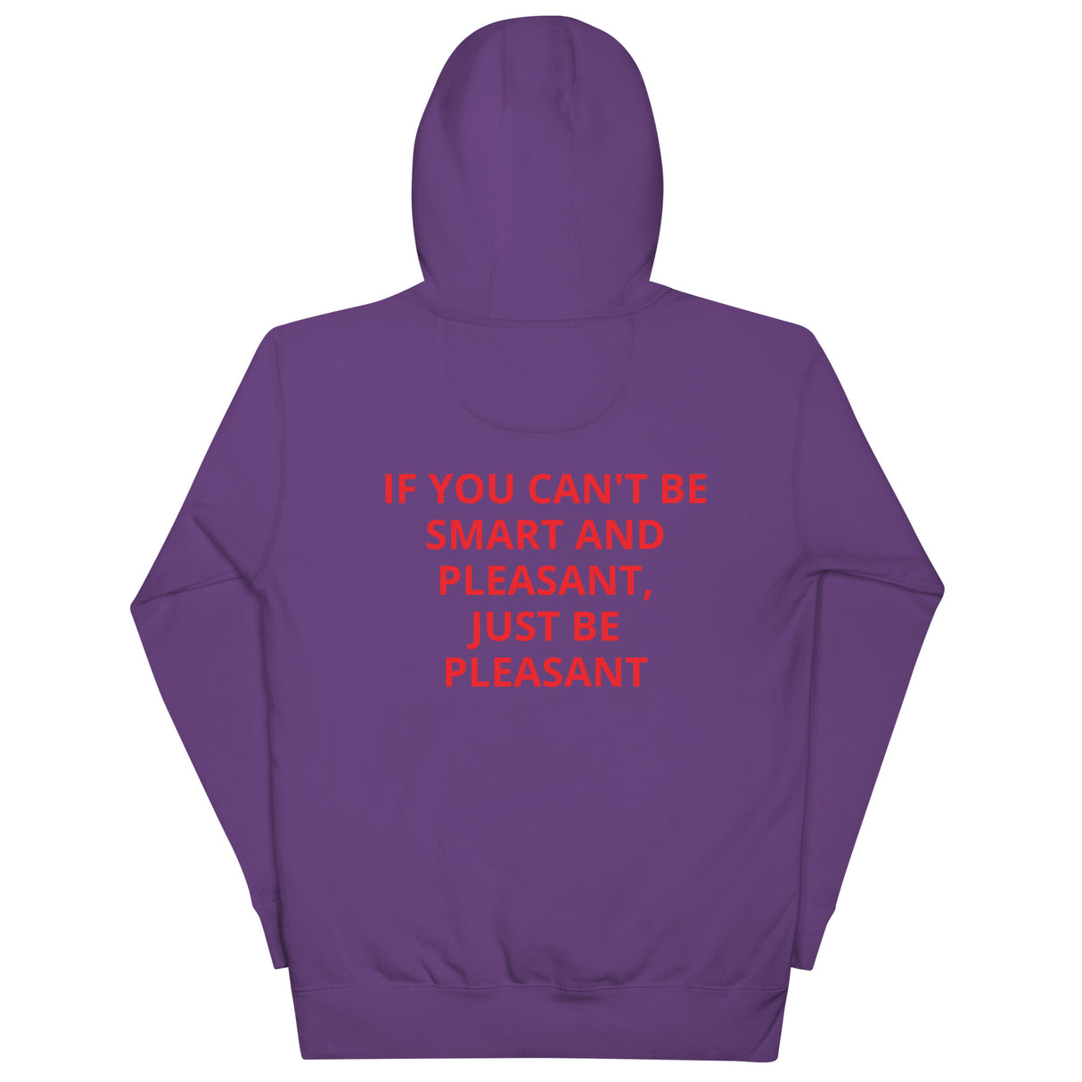 SMART AND PLEASANT HOODIE