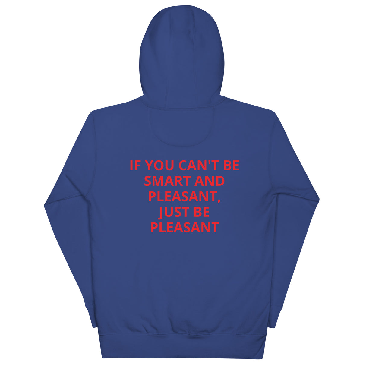 SMART AND PLEASANT HOODIE
