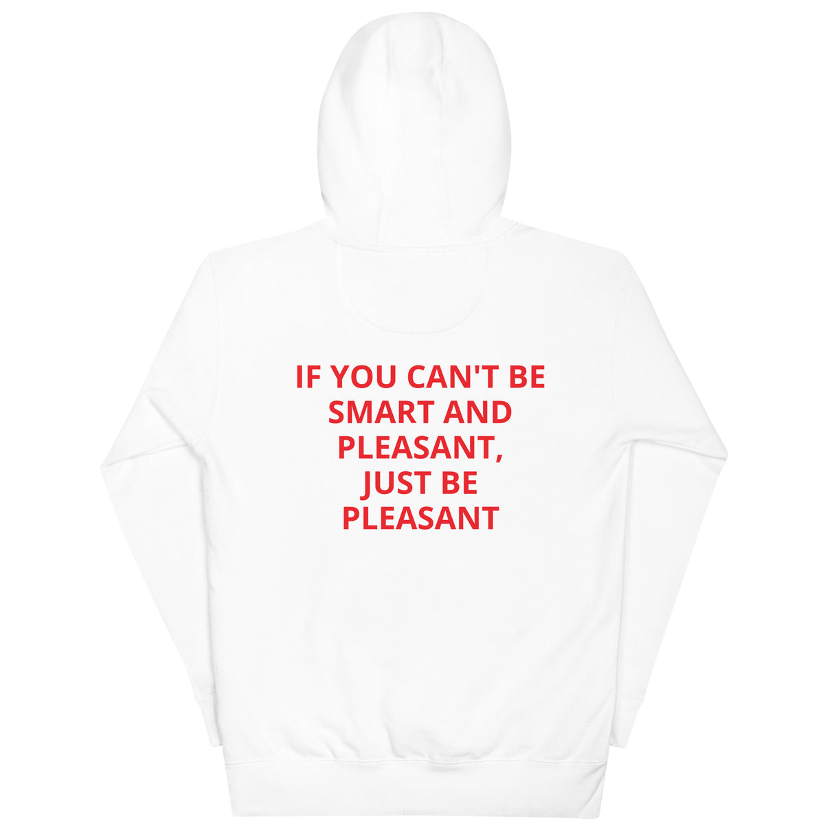 SMART AND PLEASANT HOODIE